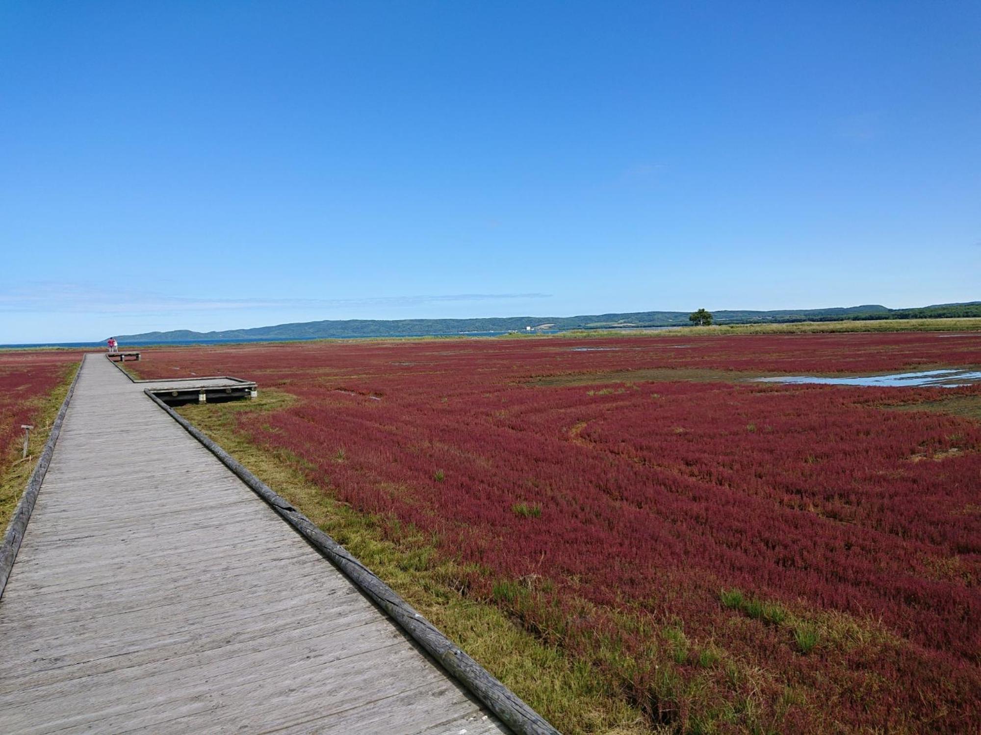 Sea Side Stay / Vacation Stay 1785 Abashiri Buitenkant foto