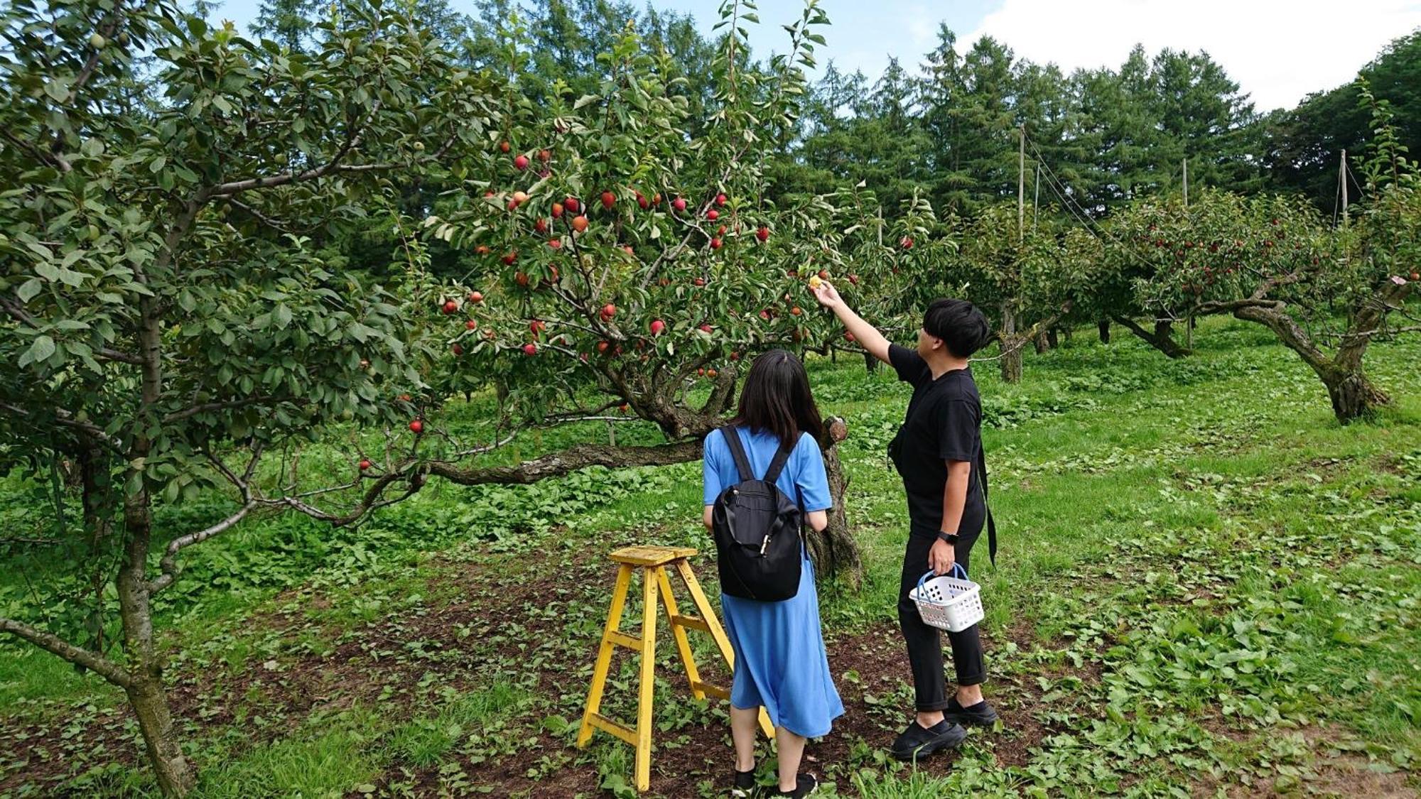 Sea Side Stay / Vacation Stay 1785 Abashiri Buitenkant foto