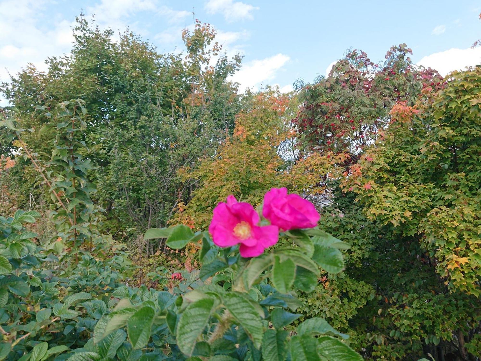 Sea Side Stay / Vacation Stay 1785 Abashiri Buitenkant foto