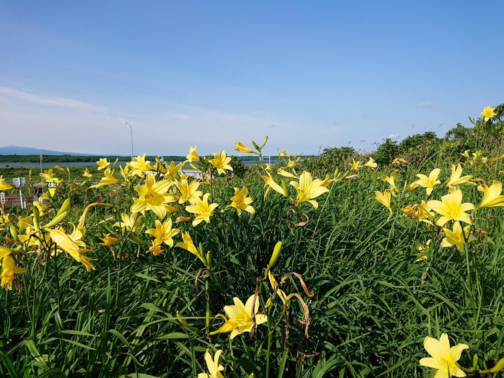 Sea Side Stay / Vacation Stay 1785 Abashiri Buitenkant foto